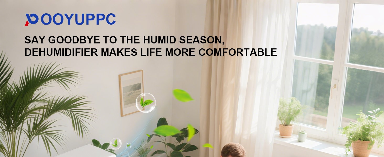 dehumidifier