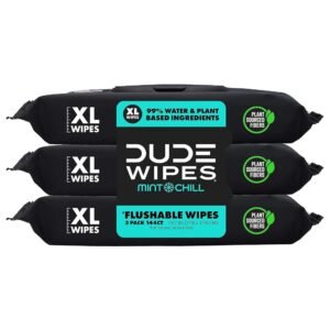 DUDE Wipes - Flushable Wipes - 3 Pack,