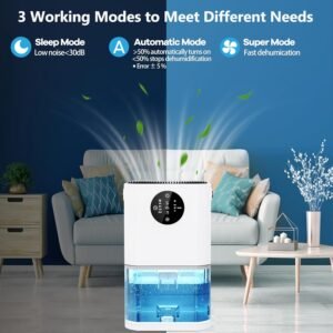DAESUNG Dehumidifiers for Home 60 OZ