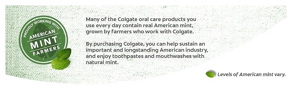 Colgate Baking Soda and Peroxide Whitening Toothpaste - Brisk Mint American Mint