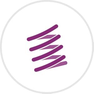 Elasticity Icon