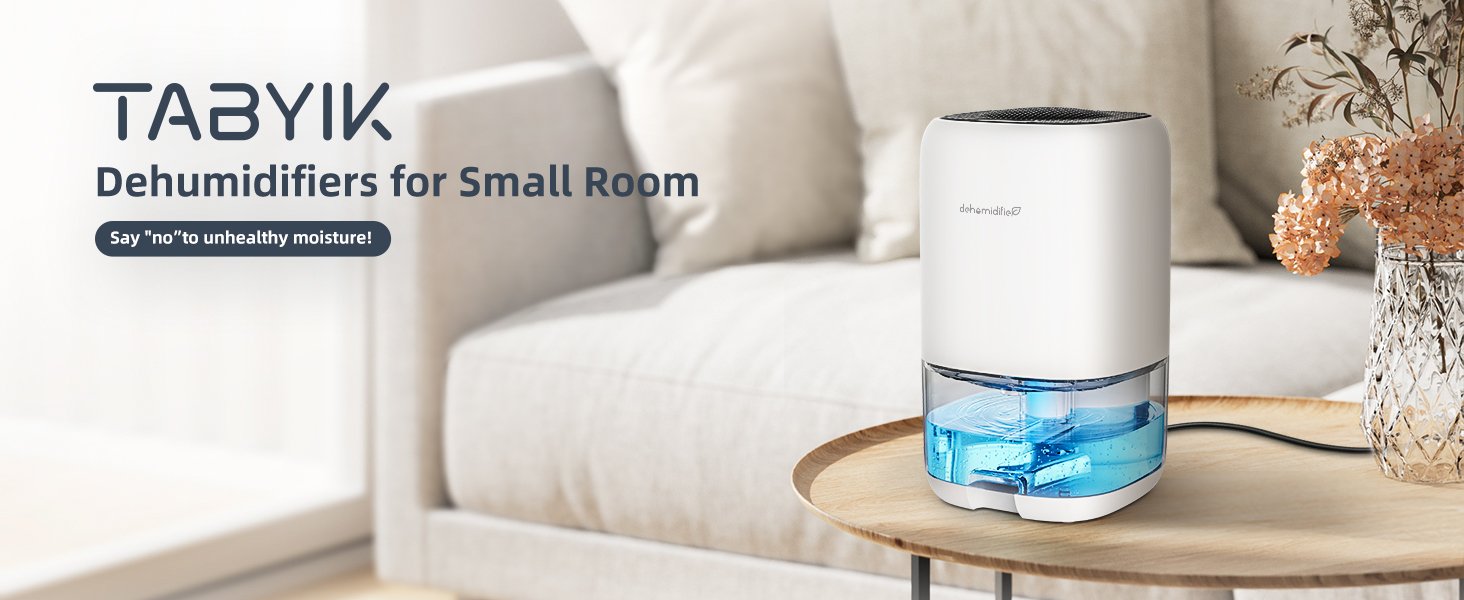 dehumidifiers for home