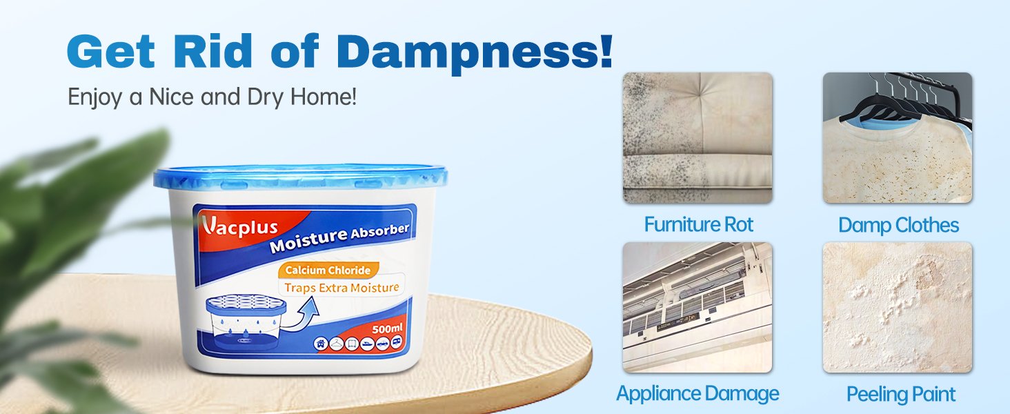 Get Rid Of dampnss