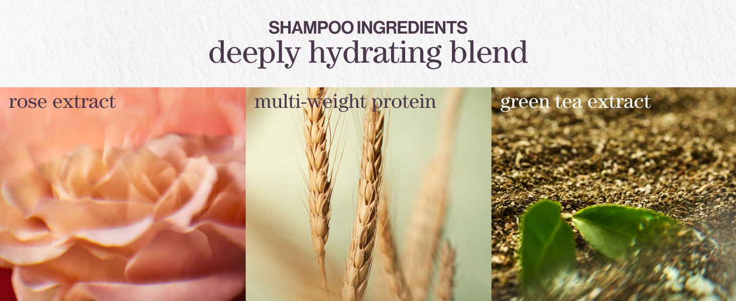 hydrate shampoo ingredients