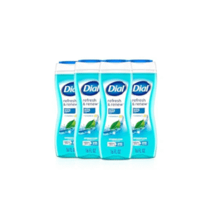 Dial Body Wash, Refresh & Renew Spring Water, 16 fl oz (Pack of 4)