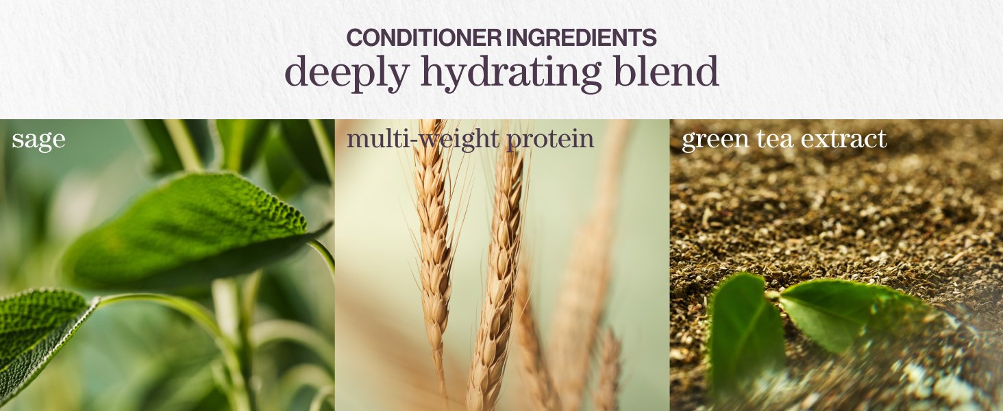 hydrate shampoo fragrance