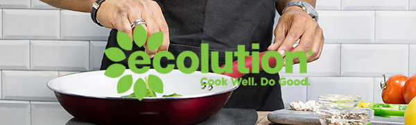 ecolution header image a plus
