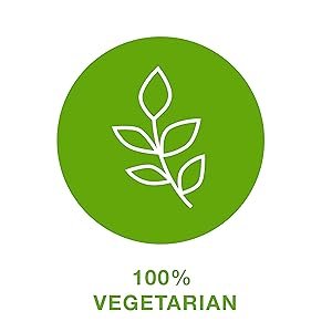 vegetarian;ingredients