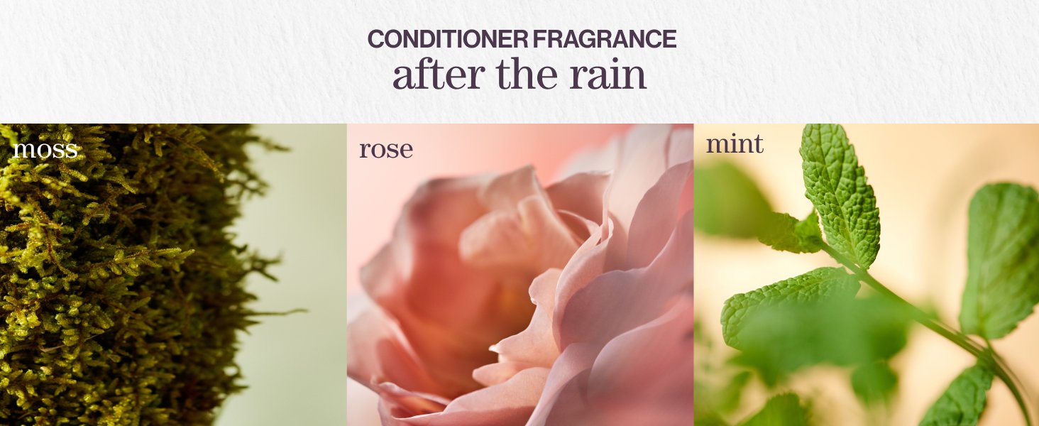 conditioner fragrance